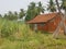 Village House, agriculture land, coconut trees, sky scenery