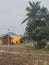 Village House, Agriculture Land, Trees, Skyline