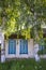 Village house with closed blue shuttered windows between large birch trees