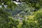 Village house and garden in the village of Lokh, Saratov region in Russia in the forest among green trees on a sunny summer day