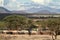 Village and houses of the f Samburu tribe in Kenya