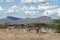 Village and houses of the f Samburu tribe in Kenya