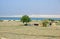 Village huts of a desert nomad camp near the sea in the Middle E