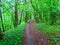 Village jogging trail at the very edge of the gully