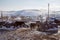 Village in Kars, Turkey. Cows returning the village.