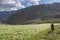 Village Lady in fields in Kibber Village,Spiti Valley,Himachal Pradesh,India