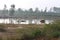 A village lake view early in the morning time with the distant fog which is vanishing gradually. Peaceful lake with woods behind