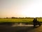 Village landscape captured during sunrise, motorbike rides crossing rural roads, sunlight peering through fog and trees on the gro