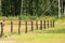 The village landscape. A wooden paddock for animals. Green grass around, in the background forest