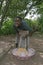 Village life, woman grating manioc, Surinam