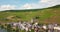 Village Merl on the Mosel river Landscape