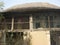 Village mud house shade with paddy tree