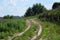 Village natural earth backroad with green grass and trees