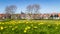 Village Oudeschild on Texel island in the Netherlands