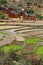 The village over the rice fields