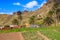 Village with palm trees on La Gomera island