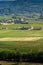 Village of Regnie-Durette and vineyards, Landscape of Beaujolais, France