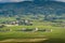 Village of Regnie-Durette and vineyards, Landscape of Beaujolais, France