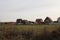 Village with residential houses cottages in the field in autumn