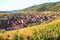 The village of Riquewihr in Alsace