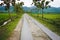 village road to the city that passes through a stretch of left-hand rice and right of the road