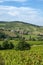 Village of Saint-VÃ©rand in the Beaujolais vineyard in the SaÃ´ne-et-Loire department in summer