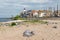 Village scene form beach of Urk, old Dutch fishing village