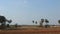 Village scene with palm trees in Cambodia