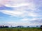 Village scenery of rice fields trees and artistic clouds