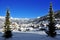 Village in swiss alps framed by pine trees