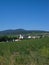 Village of Thallern in Lower-Austria, view from Oak-Hill on a bright summer day