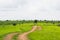 Village Track and Grassland