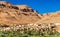 A village with traditional kasbah houses in Ziz Valley, Morocco