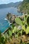 Village of Vernazza in the Cinque Terre with the sea bay and the mountains. Top view with prickly pear cactus