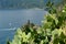 Village of Vernazza in the Cinque Terre with the sea bay and the mountains. Top view with prickly pear cactus