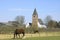 Village view with ancient church, horses and fruit yard