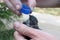 A village woman tries to help a wounded bird and gives it water