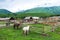 A Village in Xinjiang