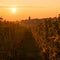 The Village of Zellenberg at sunrise,Alsace vineyard, France