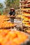 Villager Drying Persimmons in early winter