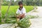 Villager sitting near the rice fields and weaving a basket out of palm leaves