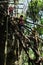 villagers climbing a large rock stone cliff on a makeshift bamboo and tree trunk ladder