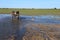 Villagers cross flooded road