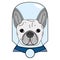Villain symbol with glass globe, cape in gray and blue as French bulldog character on white background