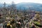 VILLANDERS, SOUTH TYROL/ITALY - MARCH 27 : Cemetery of the Paris
