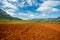 Vinales, Cuba. Tobacco farming