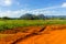 Vinales rural landscape, countryside of Cuba