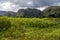 Vinales Valley - Cuba