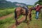 Vinales Valley, Cuba - September 24, 2015: Local cowboy prepare