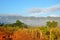 Vinales valley in the morning mist, Cuba